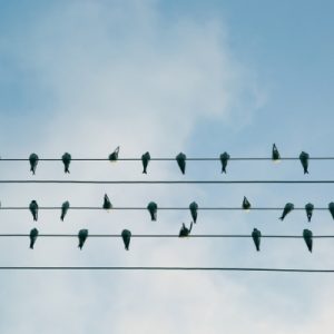 Connect with Others
