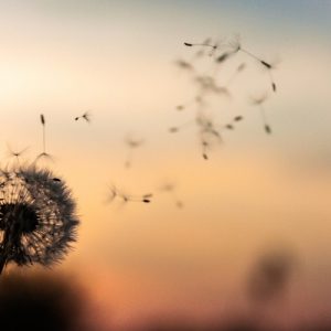 Align to Your Values